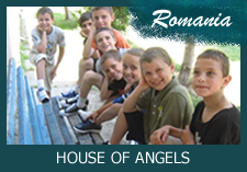 House of Angels